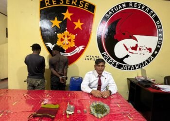 Polres Jayawijaya Amankan Dua Pemuda Penyalahguna Ganja, Barang Bukti 49 Gram Lebih