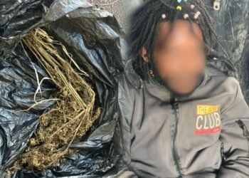 Polres Jayawijaya Gagalkan Peredaran Narkoba di Wamena, Satu Pemuda Diamankan