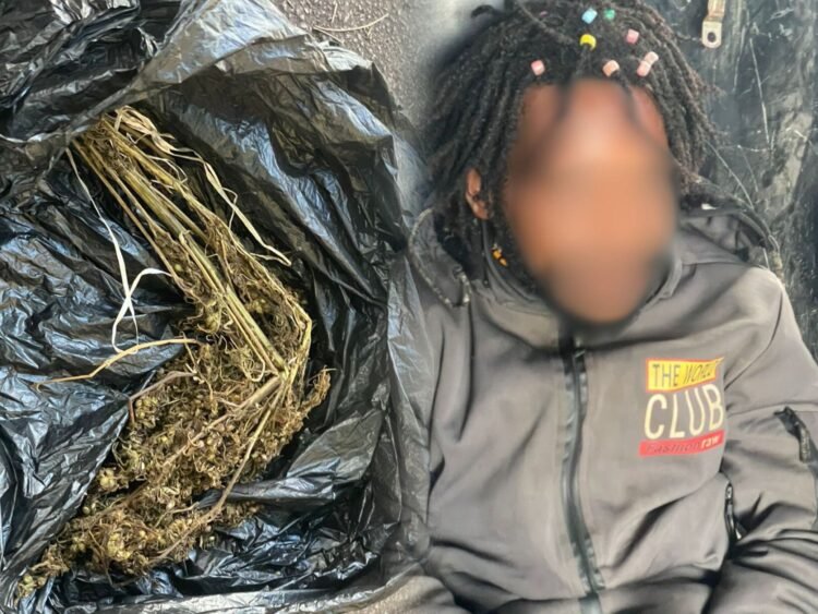 Polres Jayawijaya Gagalkan Peredaran Narkoba di Wamena, Satu Pemuda Diamankan