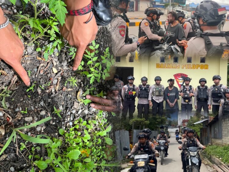 Patroli Polres Jayawijaya Amankan Warga Diduga Konsumsi Narkotika