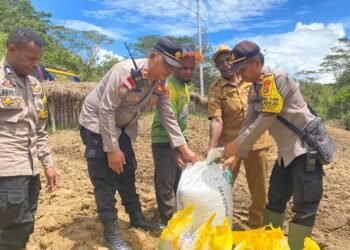 Polsek Kurulu Laksanakan Panen Ikan dalam Program 1 Pangan Bergizi