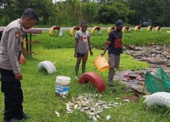 Polsek Kurulu Laksanakan Panen Ikan dalam Program 1 Pangan Bergizi