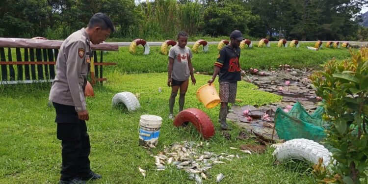 Polsek Kurulu Laksanakan Panen Ikan dalam Program 1 Pangan Bergizi