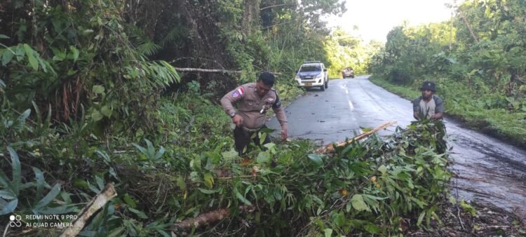 Peduli Keselamatan Pengguna Jalan, Sat Lantas Polres Sarmi Bersihkan Pohon Tumbang di Kampung Holmaven