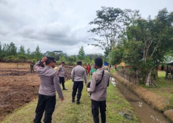 Kapolsek Wamena Kota Cek Perkembangan Tanaman Jagung di Kampung Hubikiak