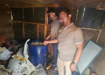Polres Jayawijaya Amankan Tempat Produksi Minuman Keras Lokal di Wamena