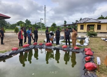 Polsek Bonggo Isi 3.200 Benih Ikan Tawar di Kolam Merah Putih