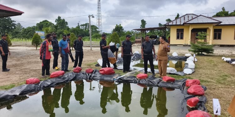 Polsek Bonggo Isi 3.200 Benih Ikan Tawar di Kolam Merah Putih
