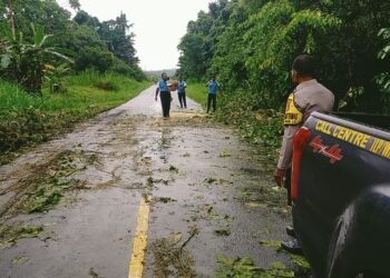Polsek Bonggo dan Warga Gotong Royong Bersihkan Pohon Tumbang di Jalan Trans Jayapura–Sarmi