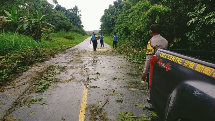 Polsek Bonggo dan Warga Gotong Royong Bersihkan Pohon Tumbang di Jalan Trans Jayapura–Sarmi