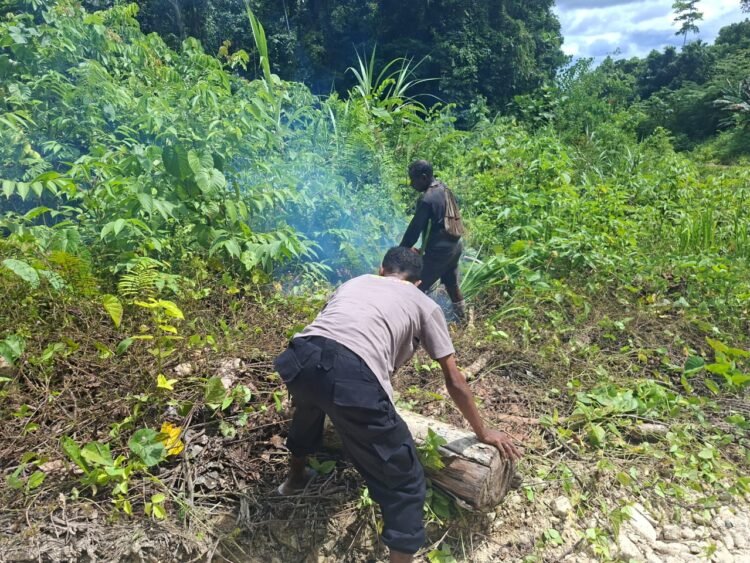 Kapolsek Tor Atas Bersama Personel dan Masyarakat Bersihkan Jalan Akibat Pohon Tumbang