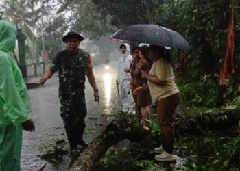 Bantu Tangani Pohon Tumbang Yang Menutupi Akses Jalan Utama, Koramil 1310-04/Dimembe Gerak Cepat