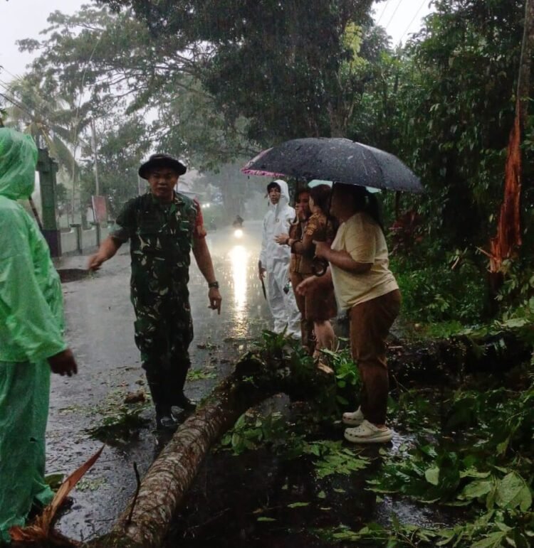Bantu Tangani Pohon Tumbang Yang Menutupi Akses Jalan Utama, Koramil 1310-04/Dimembe Gerak Cepat