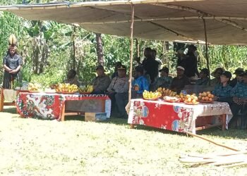 Polsek Asologaima Hadir dan Amankan Panen Raya Ubi Jalar di Wamena