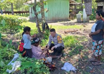 Polsek Kawasan Bandara Lakukan Pengecekan Lahan Jagung, Program Ketahanan Pangan Kuartal IV