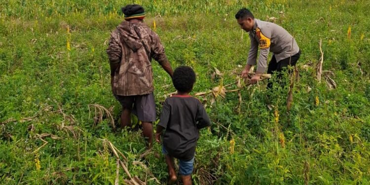 Polsek Kawasan Bandara Laksanakan Pengecekan Lahan Jagung Program Ketahanan Pangan