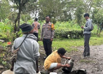 Polres Jayawijaya Cek Lahan Jagung Program Ketahanan Pangan di Wamena
