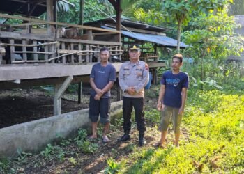 Kembali Lagi Bhabin Kelurahan Mararena Sambangi peternak Kambing