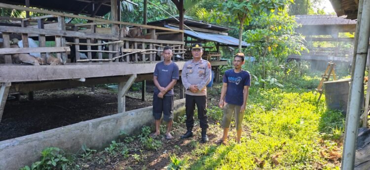 Kembali Lagi Bhabin Kelurahan Mararena Sambangi peternak Kambing