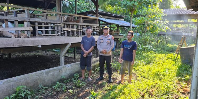 Kembali Lagi Bhabin Kelurahan Mararena Sambangi peternak Kambing