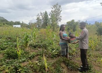 Bhabinkamtibmas Polsek Kurulu Lakukan Pengecekan Perkembangan Tanaman Jagung Kuartal IV