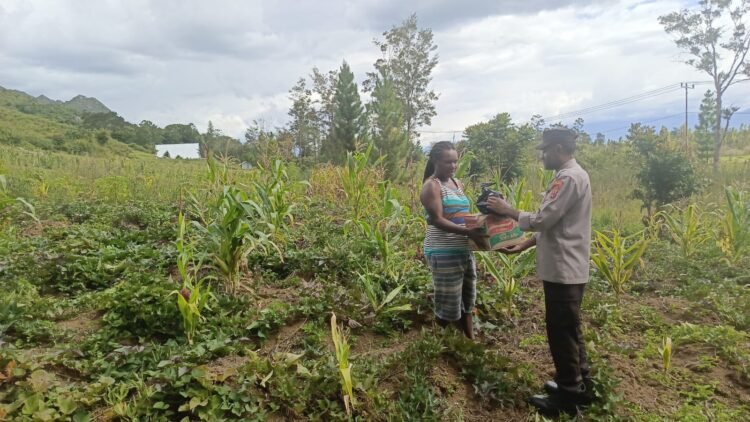 Bhabinkamtibmas Polsek Kurulu Lakukan Pengecekan Perkembangan Tanaman Jagung Kuartal IV