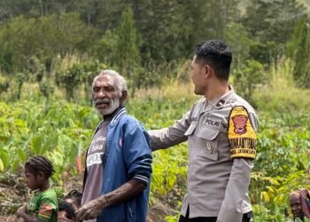 Polsek Kawasan Bandara Cek Lahan Jagung Program Ketahanan Pangan di Wesaput