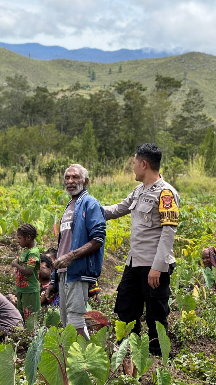 Polsek Kawasan Bandara Cek Lahan Jagung Program Ketahanan Pangan di Wesaput
