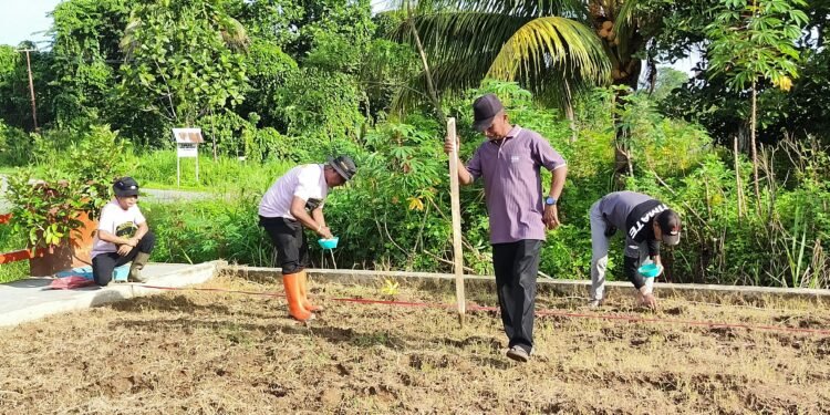 Polsek Bonggo Tanam Padi Inbrida Super 989, Dukung Ketahanan Pangan Nasional
