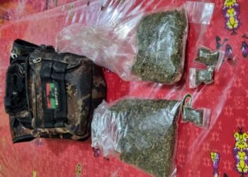 Polres Jayawijaya Amankan Seorang Pemuda Beserta 101,62 Gram Ganja